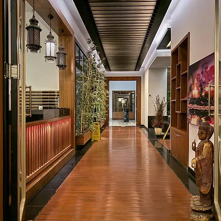 Qoople Elite Admiral *