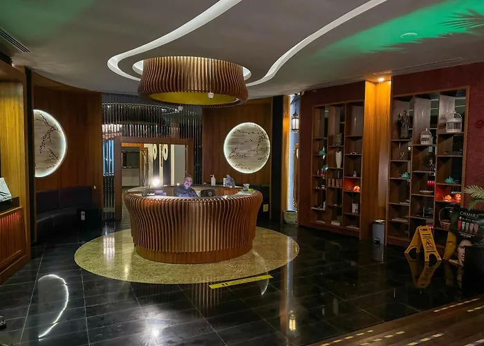 Qoople Elite Admiral *